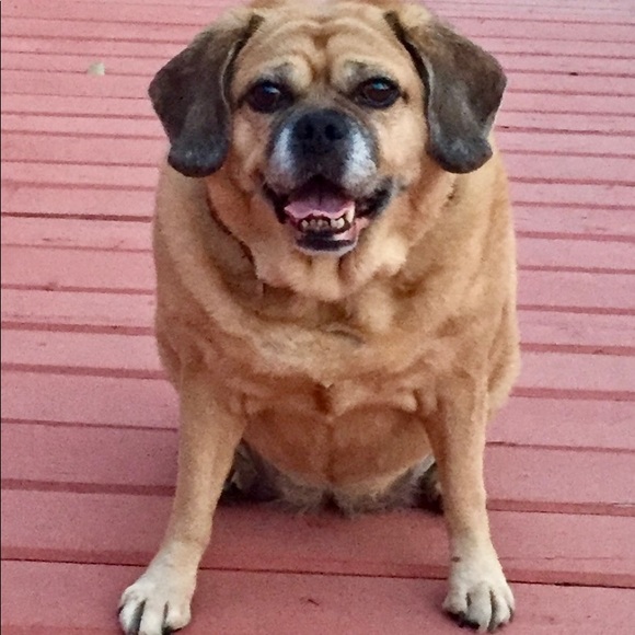 Meet your Posher, Ashalee - Picture 4 of 7